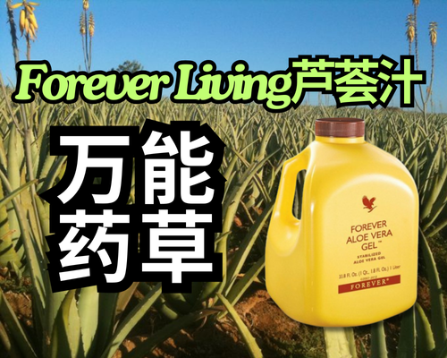 Forever Living 芦荟汁 - 万能药草